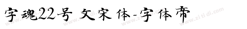字魂22号 文宋体字体转换